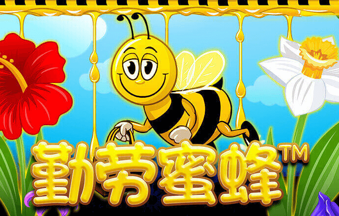 搏冠体育app下载官网